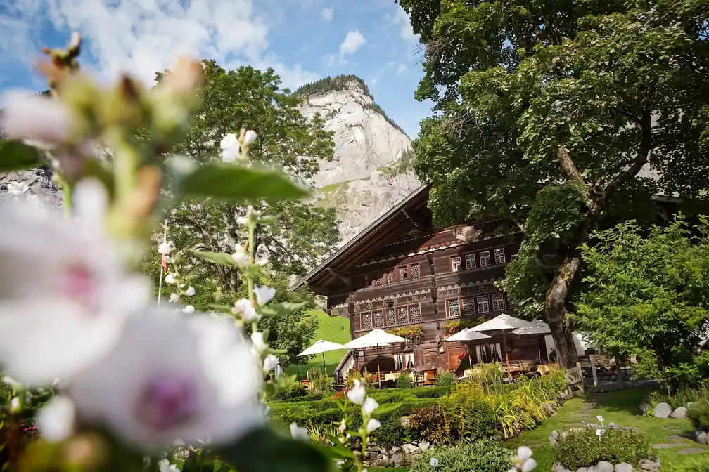 Das Haus hinter Blüten, davor Garten und Schirme