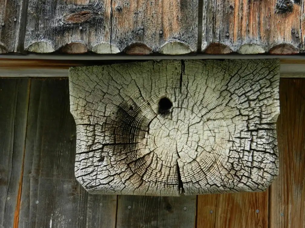 Balkenkopf mit Jahresringen an der Fassade